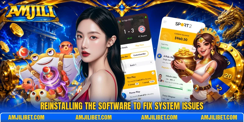 Reinstalling the software to fix system issues