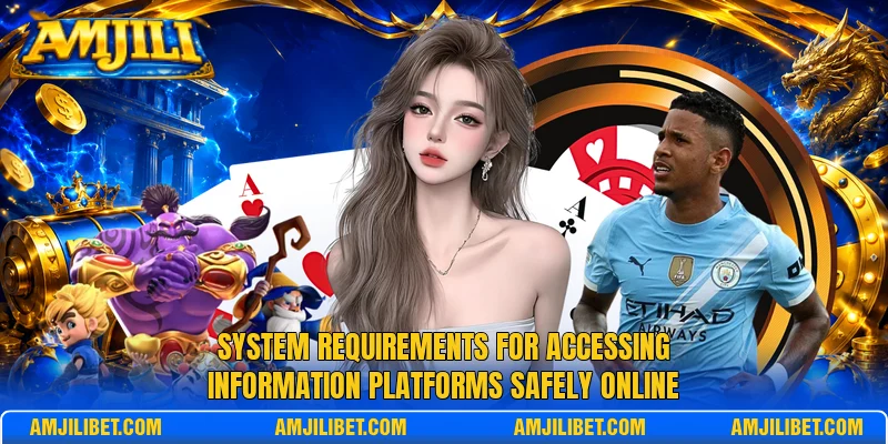 System requirements for accessing information platforms safely online
